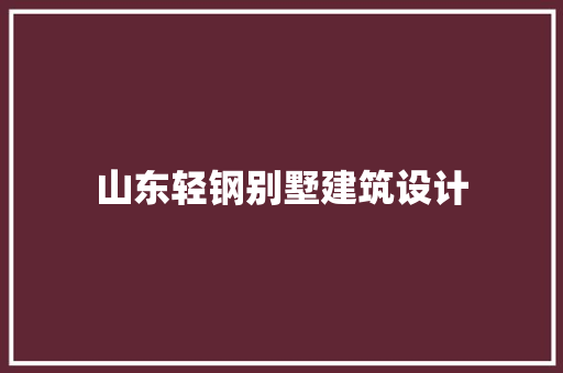 山东轻钢别墅建筑设计