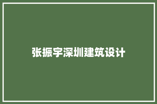 张振宇深圳建筑设计