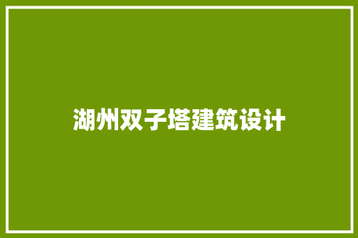 湖州双子塔建筑设计 建筑法规