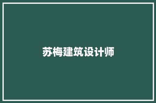 苏梅建筑设计师 常用设备