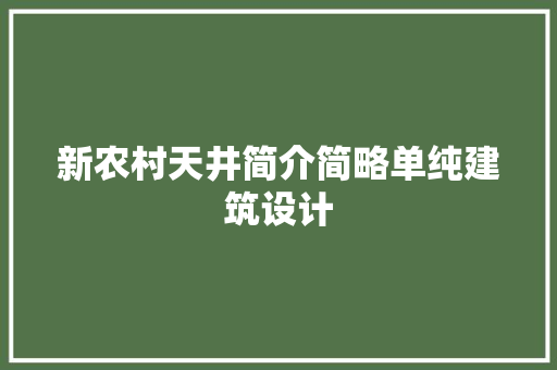 新农村天井简介简略单纯建筑设计 设计原则