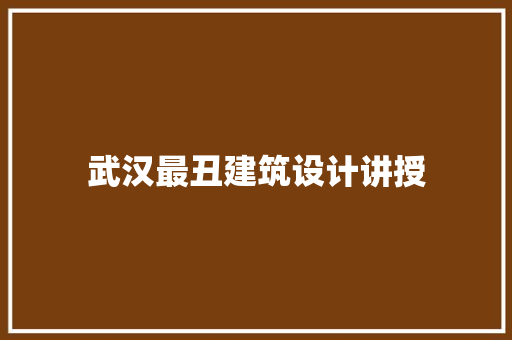 武汉最丑建筑设计讲授