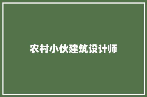 农村小伙建筑设计师