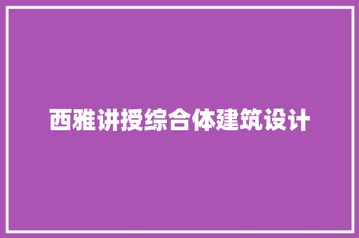 西雅讲授综合体建筑设计
