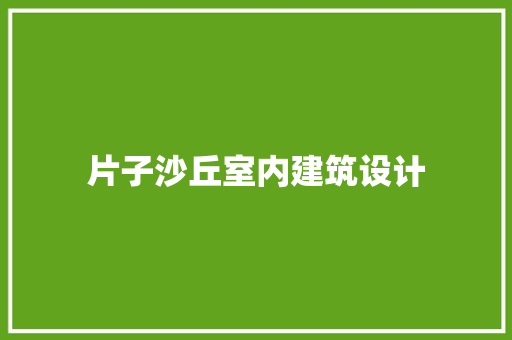 片子沙丘室内建筑设计
