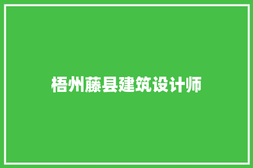 梧州藤县建筑设计师