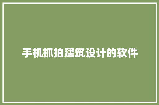 手机抓拍建筑设计的软件 施工工艺