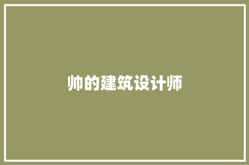 帅的建筑设计师