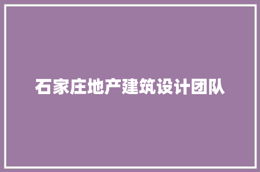 石家庄地产建筑设计团队
