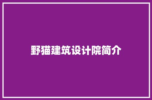 野猫建筑设计院简介
