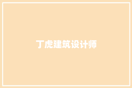 丁虎建筑设计师