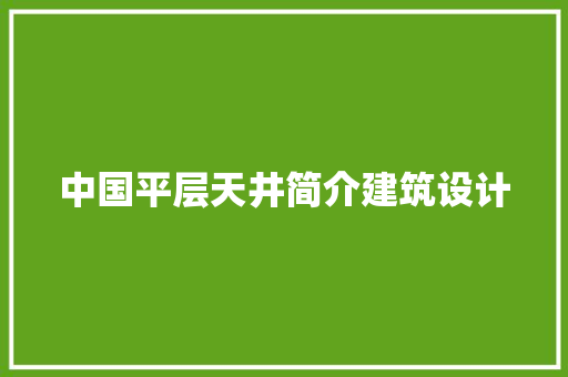 中国平层天井简介建筑设计 住宅建筑设计
