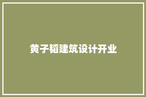 黄子韬建筑设计开业 公共建筑设计