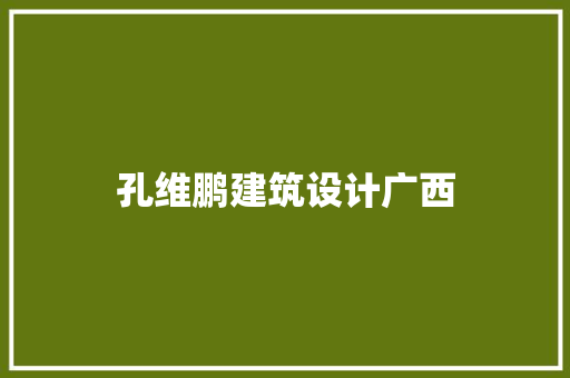 孔维鹏建筑设计广西