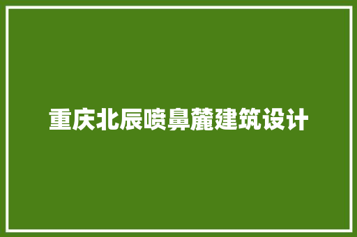 重庆北辰喷鼻麓建筑设计