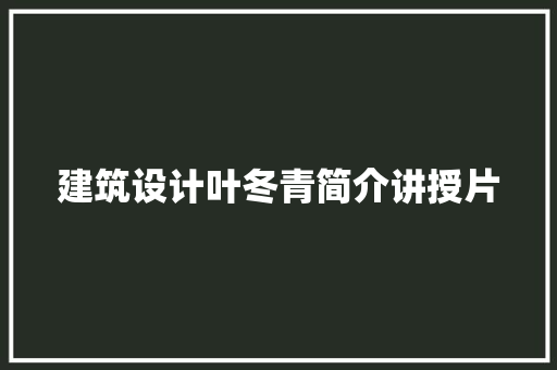 建筑设计叶冬青简介讲授片