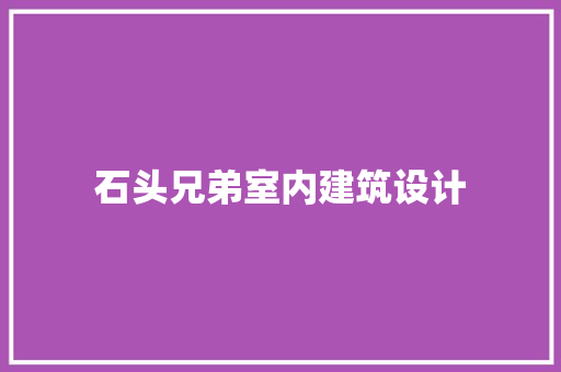 石头兄弟室内建筑设计