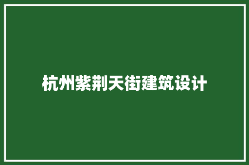 杭州紫荆天街建筑设计