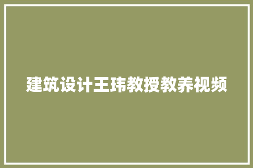建筑设计王玮教授教养视频 施工工艺