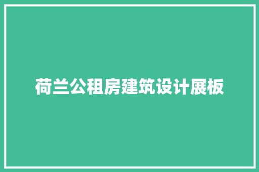 荷兰公租房建筑设计展板 建筑设计