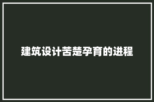 建筑设计苦楚孕育的进程 常用设备