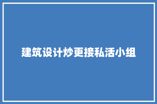 建筑设计炒更接私活小组