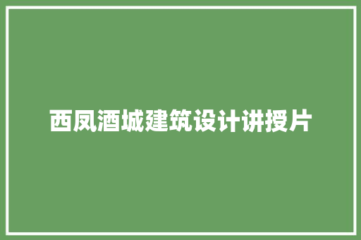 西凤酒城建筑设计讲授片
