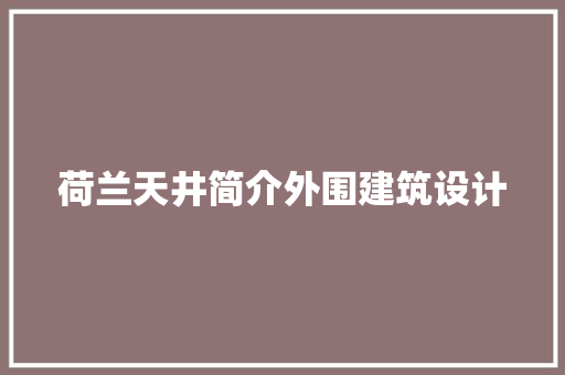 荷兰天井简介外围建筑设计 建筑法规