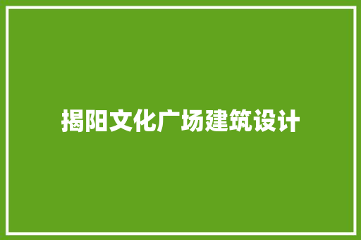 揭阳文化广场建筑设计 常用建材