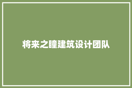 将来之瞳建筑设计团队 公共建筑设计