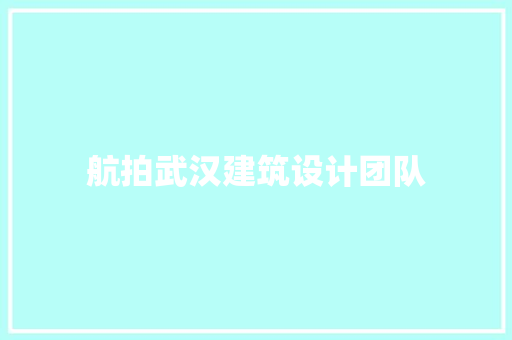 航拍武汉建筑设计团队 新型材料