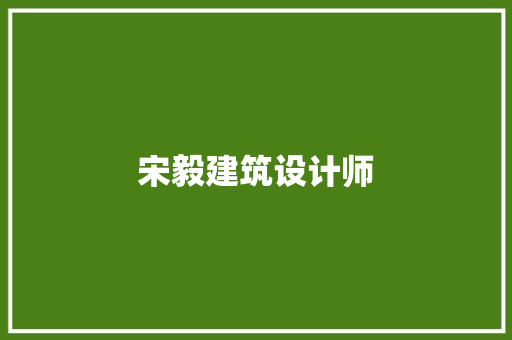 宋毅建筑设计师