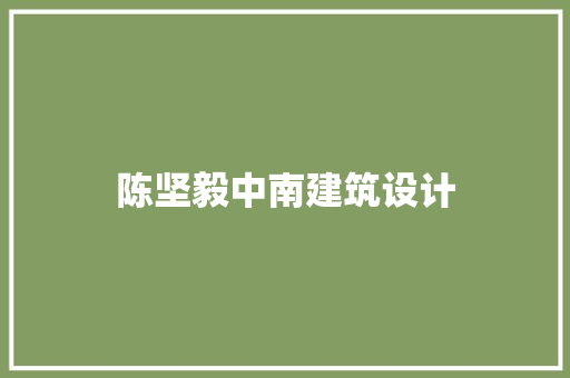 陈坚毅中南建筑设计 施工技术