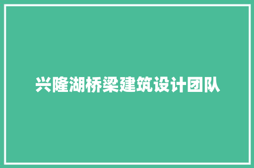 兴隆湖桥梁建筑设计团队 施工技术