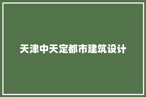 天津中天定都市建筑设计 施工技术