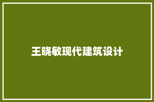王晓敏现代建筑设计 常见问题