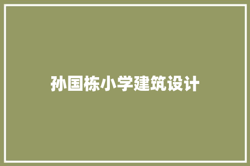孙国栋小学建筑设计 施工工艺