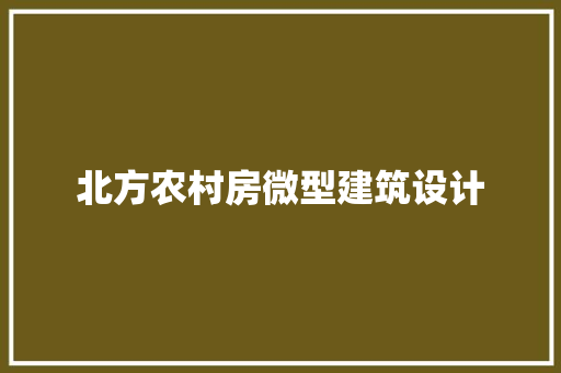 北方农村房微型建筑设计 公共建筑设计