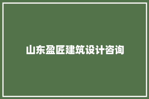 山东盈匠建筑设计咨询 新型材料