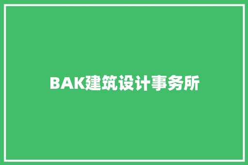 BAK建筑设计事务所 施工技术