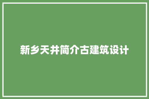 新乡天井简介古建筑设计 材料设备