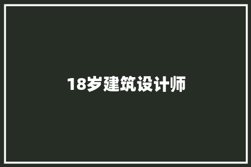 18岁建筑设计师