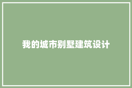 我的城市别墅建筑设计 施工工艺