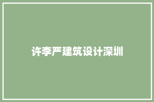 许李严建筑设计深圳 施工技术