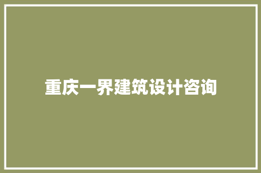 重庆一界建筑设计咨询 施工管理