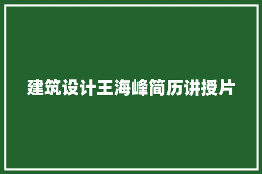 建筑设计王海峰简历讲授片 材料设备
