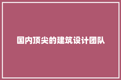 国内顶尖的建筑设计团队 工艺流程