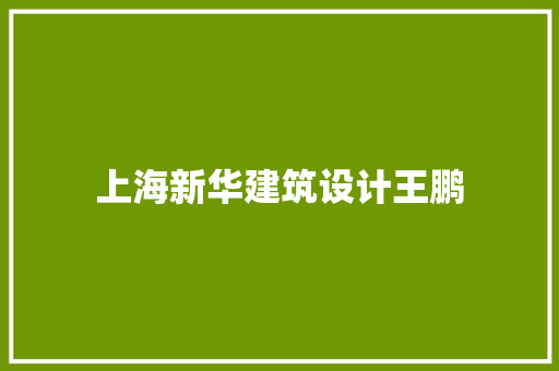 上海新华建筑设计王鹏 工艺流程
