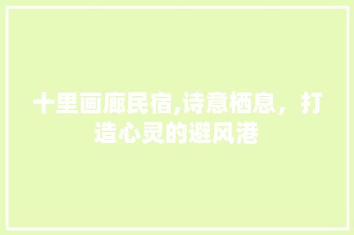 十里画廊民宿,诗意栖息，打造心灵的避风港 材料设备