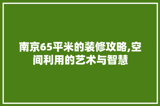 南京65平米的装修攻略,空间利用的艺术与智慧 常用建材